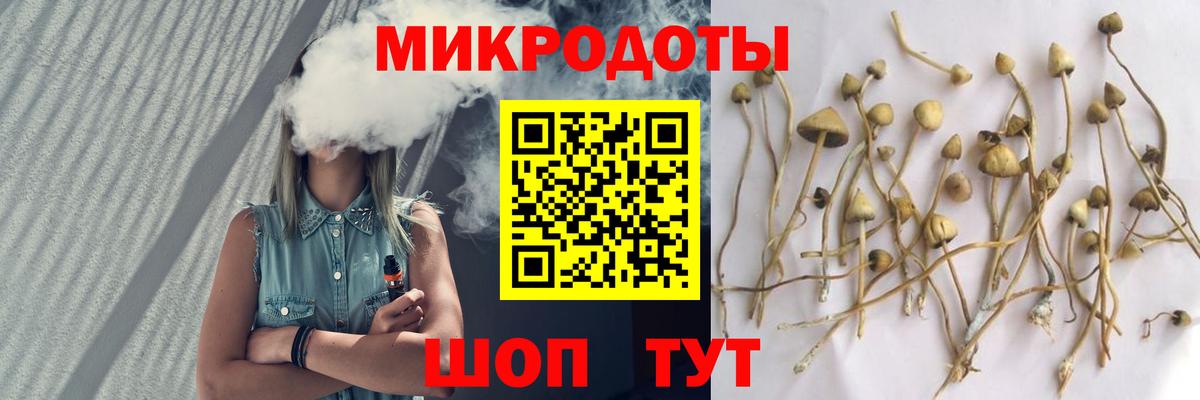 Подольск  цены наркотик  Галлюциногенные грибы прущие грибы  Вход с VPN  Галлюциногенные грибы Magic Shrooms 